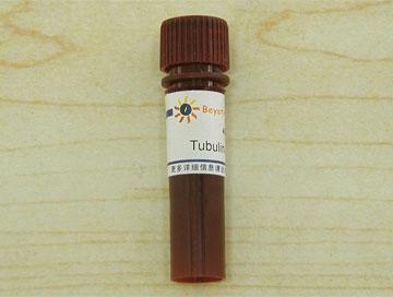Tubulin-Tracker Red (微管红色荧光探针)